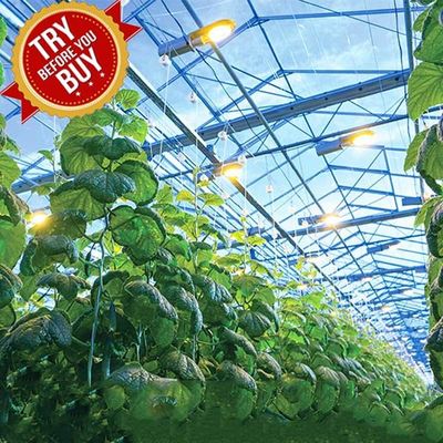 قیمت خوب قاب فلزی CE نصب سیستم پشتیبانی خورشیدی گلخانه ای گلخانه ای زمستانی ساختار پشتیبانی برای فضای سبز آنلاین