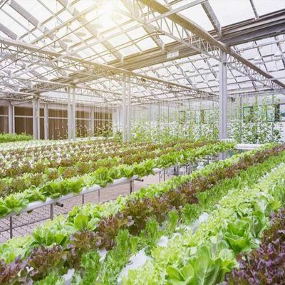 قیمت خوب 10-60 درجه افقی عمودی سیستم های خورشیدی گلخانه 36.9 متر در ثانیه بار باد آنلاین