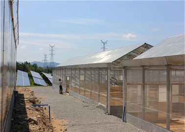 قیمت خوب سقف خورشیدی سیستم گلخانه ای سیستم های فتوولتائیک محصولات کشاورزی آنلاین