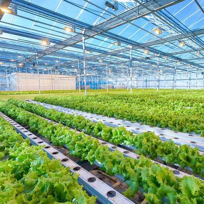 قیمت خوب هوشمند قابل تنظیم ارتفاع گلخانه ای سبک سیستم خورشیدی گلخانه ای ساختار نصب شده فتوولتائیک آنلاین