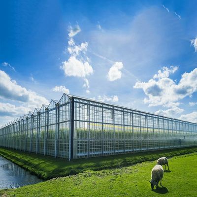 قیمت خوب سیستم خورشیدی گلخانه ای چند منظوره 500KW BIPV آنلاین