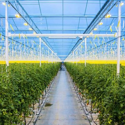 قیمت خوب گلخانه فولادی گالوانیزه کشاورزی قاب گلخانه ای خورشیدی آنلاین