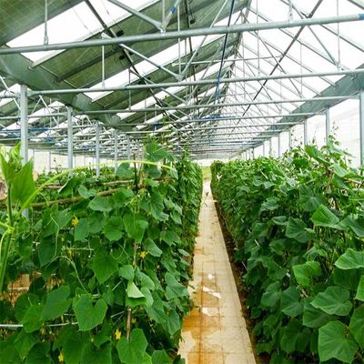 قیمت خوب گلخانه خورشیدی گالوانیزه آنودایز خورشیدی PV با سیستم سایه زنی آنلاین