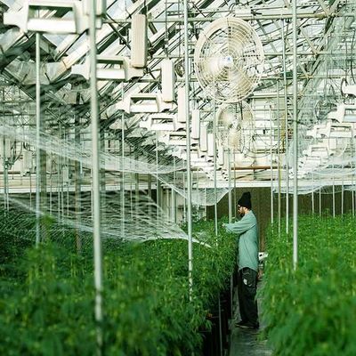 قیمت خوب سازه نصب خورشیدی گلخانه ای فولاد ضد زنگ گالوانیزه آنلاین