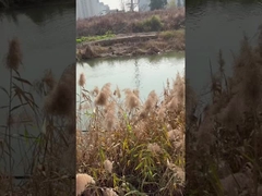 پمپ آب چاه عمیق 3 اینچ DC با کنترل کننده MPPT